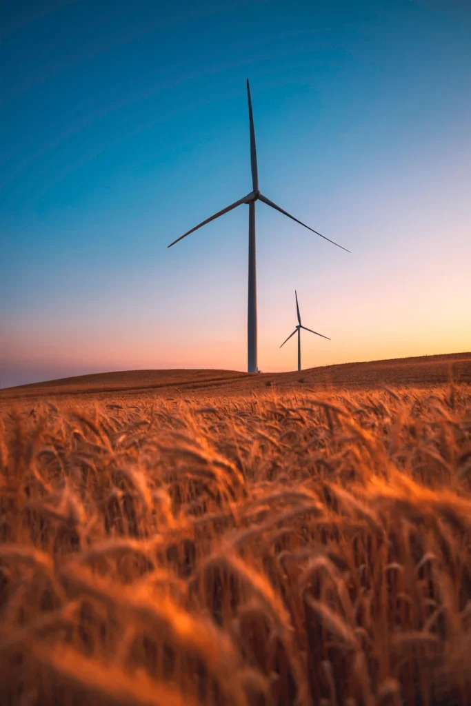 Wind turbines in rural farmland at sunset representing renewable energy markets, regional economics and industry forecasting in Australia.